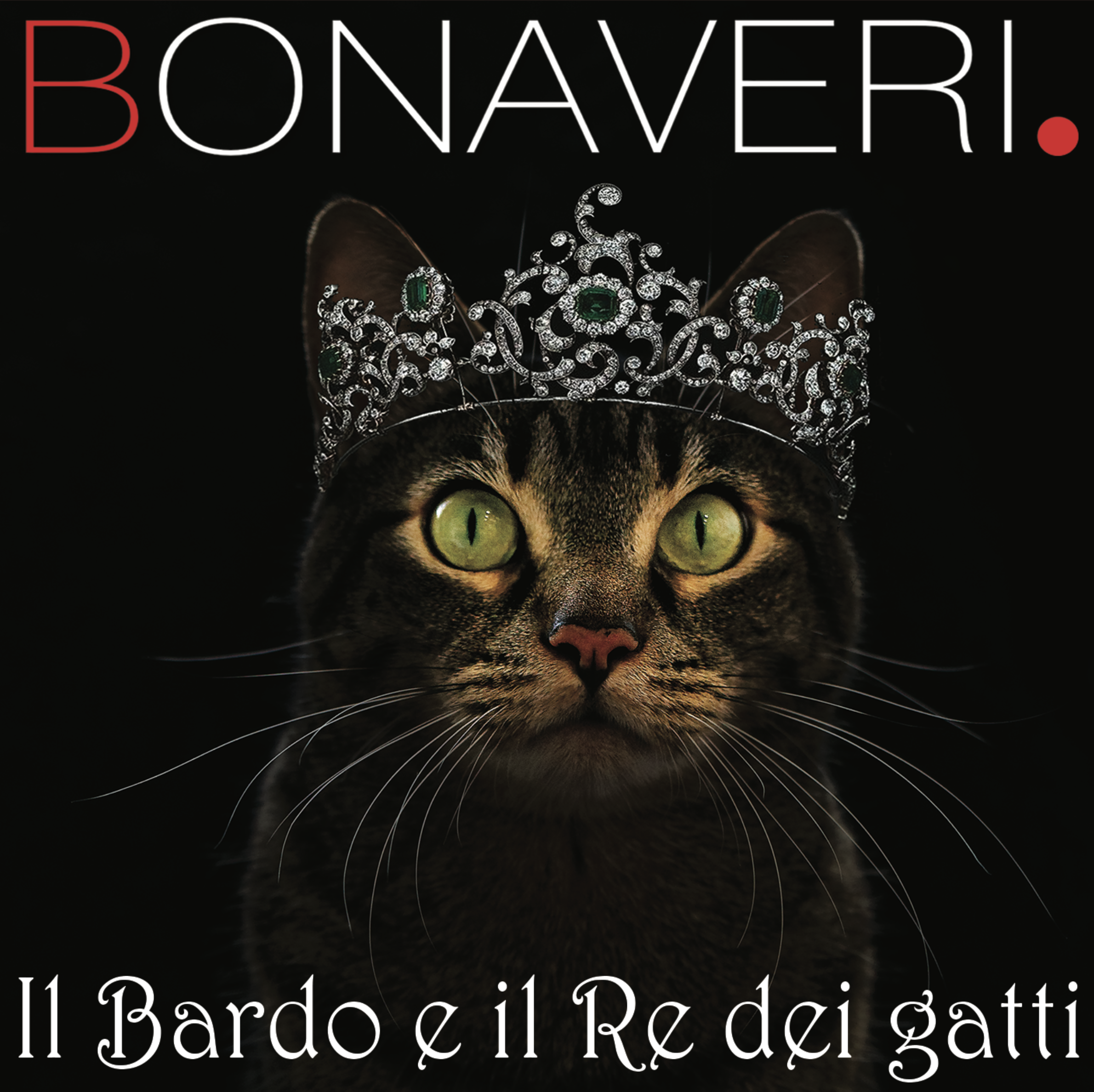 IL BARDO E IL RE DEI GATTI